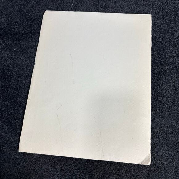 Arthur Singer Portfolio of Bird Prints Complete Set (8) - Vintage Botanical Art - Picture 14 of 16